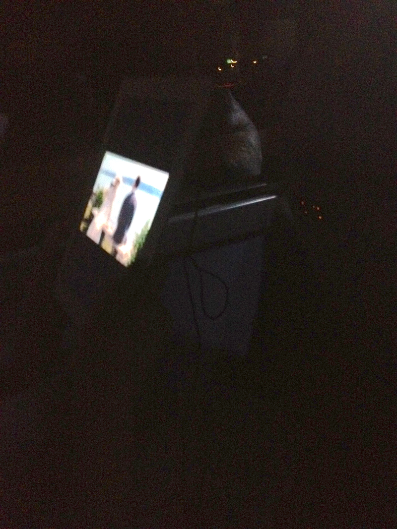 Illustration for article titled If You Do This With Your iPad, You Don't Deserve an iPad